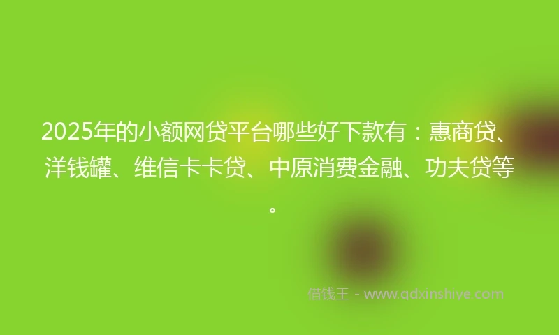 2025年的小额网贷平台哪些好下款有：惠商贷、洋钱罐、维信卡卡贷、中原消费金融、功夫贷等。