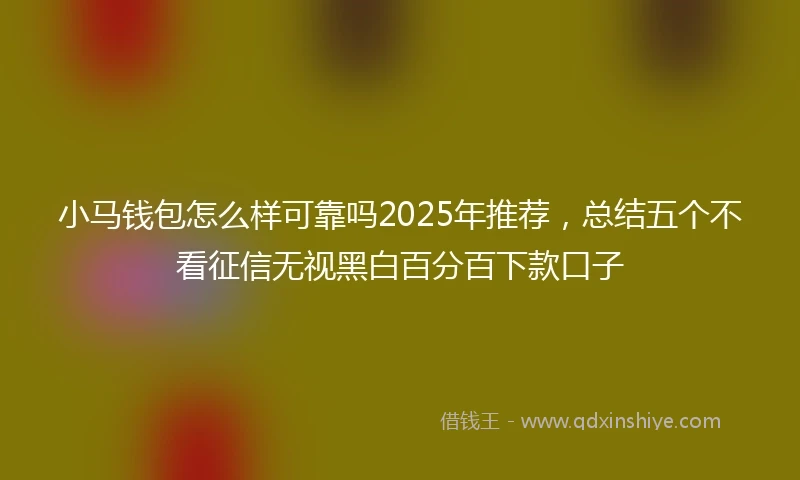 小马钱包怎么样可靠吗2025年推荐，总结五个不看征信无视黑白百分百下款口子