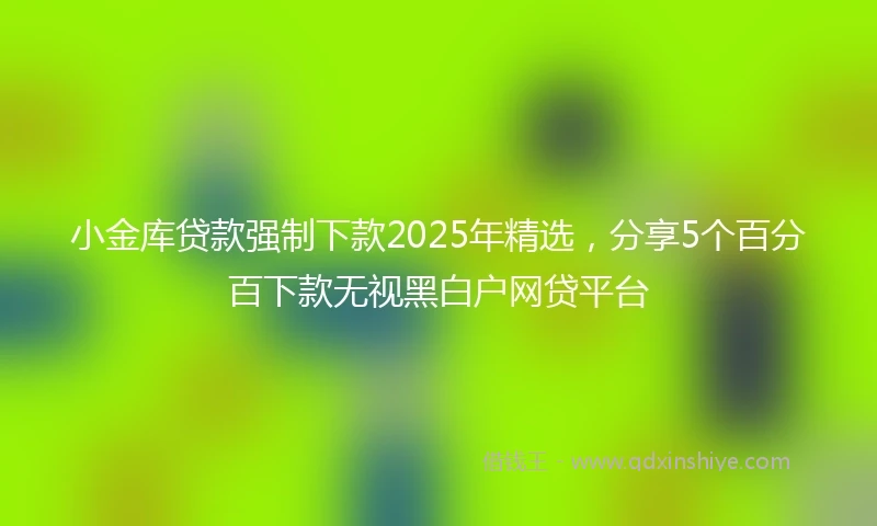 小金库贷款强制下款2025年精选，分享5个百分百下款无视黑白户网贷平台