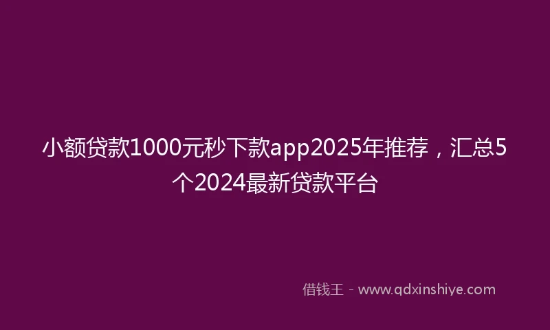 小额贷款1000元秒下款app2025年推荐，汇总5个2024最新贷款平台