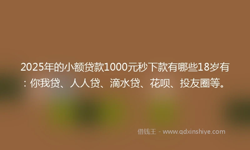 2025年的小额贷款1000元秒下款有哪些18岁有：你我贷、人人贷、滴水贷、花呗、投友圈等。