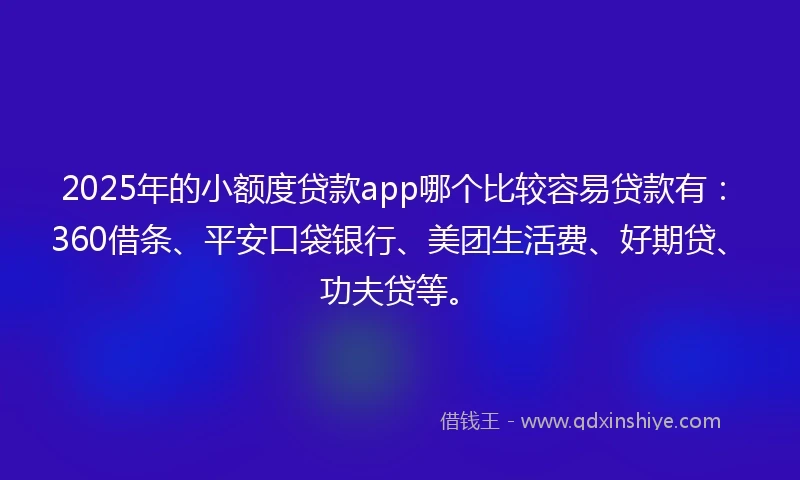 2025年的小额度贷款app哪个比较容易贷款有：360借条、平安口袋银行、美团生活费、好期贷、功夫贷等。