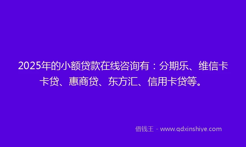 2025年的小额贷款在线咨询有：分期乐、维信卡卡贷、惠商贷、东方汇、信用卡贷等。
