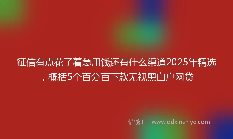 征信有点花了着急用钱还有什么渠道2025年精选，概括5个百分百下款无视黑白户网贷