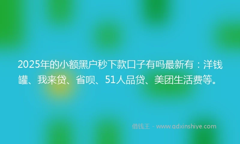 2025年的小额黑户秒下款口子有吗最新有：洋钱罐、我来贷、省呗、51人品贷、美团生活费等。