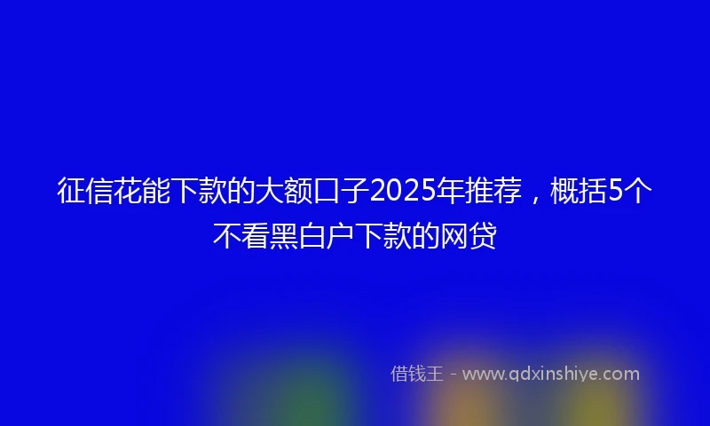 征信花能下款的大额口子2025年推荐,概括5个不看黑白户下款的网贷