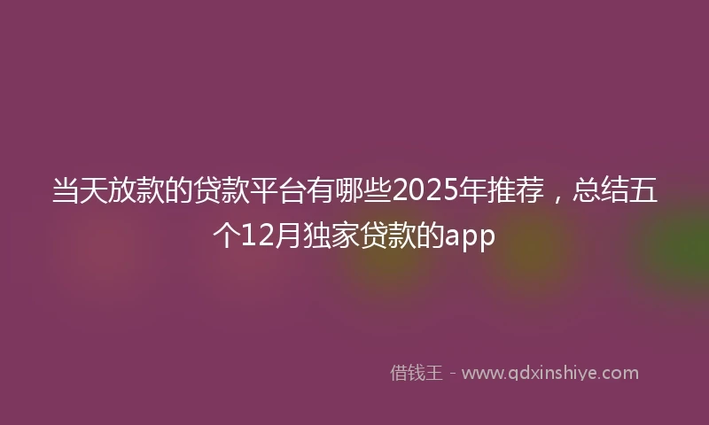 当天放款的贷款平台有哪些2025年推荐，总结五个12月独家贷款的app