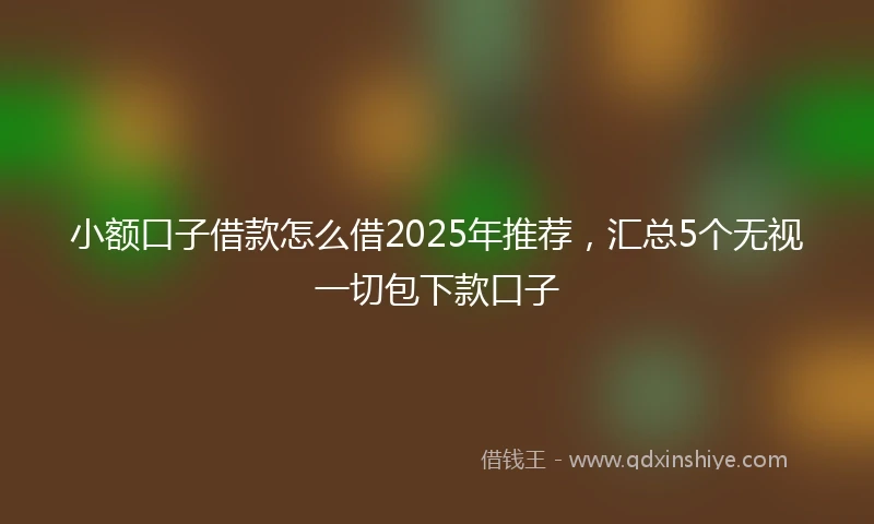 小额口子借款怎么借2025年推荐，汇总5个无视一切包下款口子