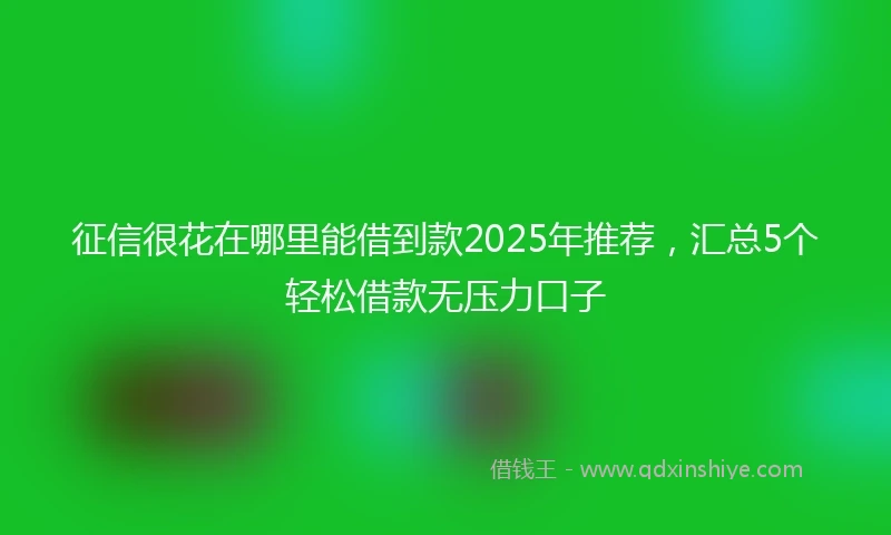 征信很花在哪里能借到款2025年推荐，汇总5个轻松借款无压力口子
