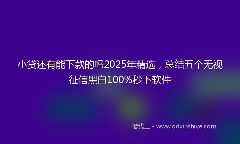小贷还有能下款的吗2025年精选，总结五个无视征信黑白100%秒下软件