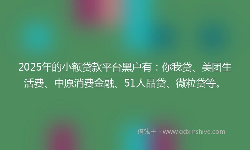 2025年的小额贷款平台黑户有:你我贷、美团生活费、中原消费金融、51人品贷、微粒贷等。