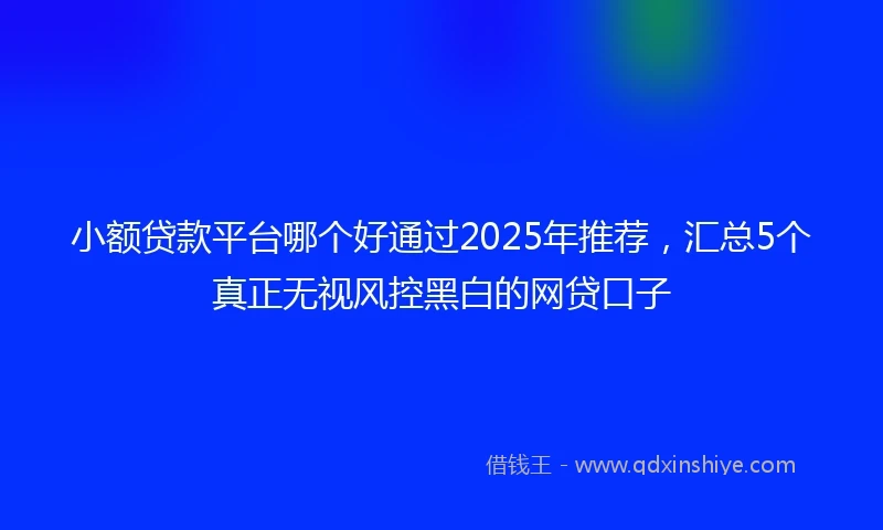 小额贷款平台哪个好通过2025年推荐，汇总5个真正无视风控黑白的网贷口子