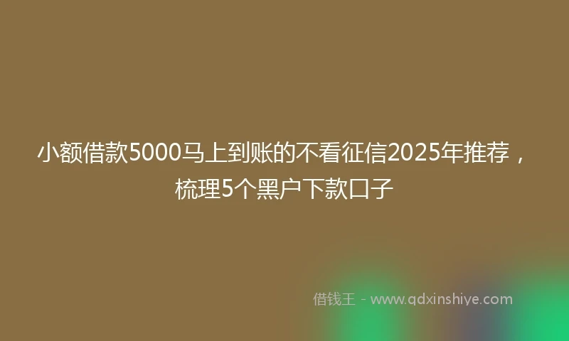 小额借款5000马上到账的不看征信2025年推荐，梳理5个黑户下款口子