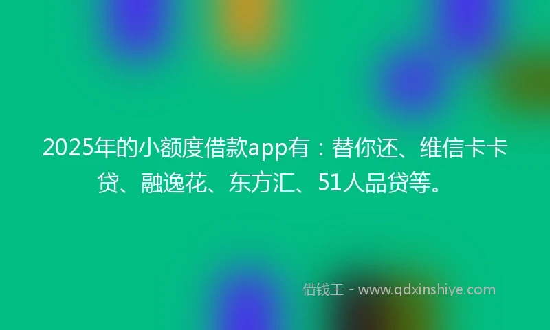 2025年的小额度借款app有：替你还、维信卡卡贷、融逸花、东方汇、51人品贷等。