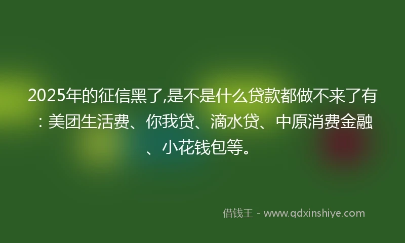 2025年的征信黑了,是不是什么贷款都做不来了有：美团生活费、你我贷、滴水贷、中原消费金融、小花钱包等。