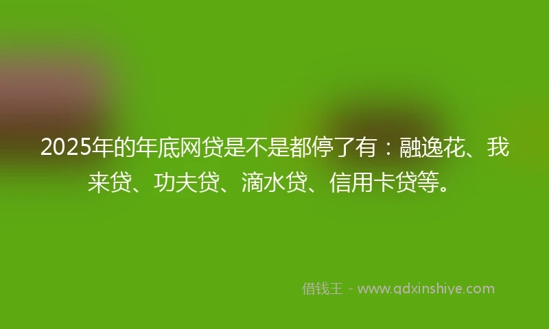 2025年的年底网贷是不是都停了有：融逸花、我来贷、功夫贷、滴水贷、信用卡贷等。