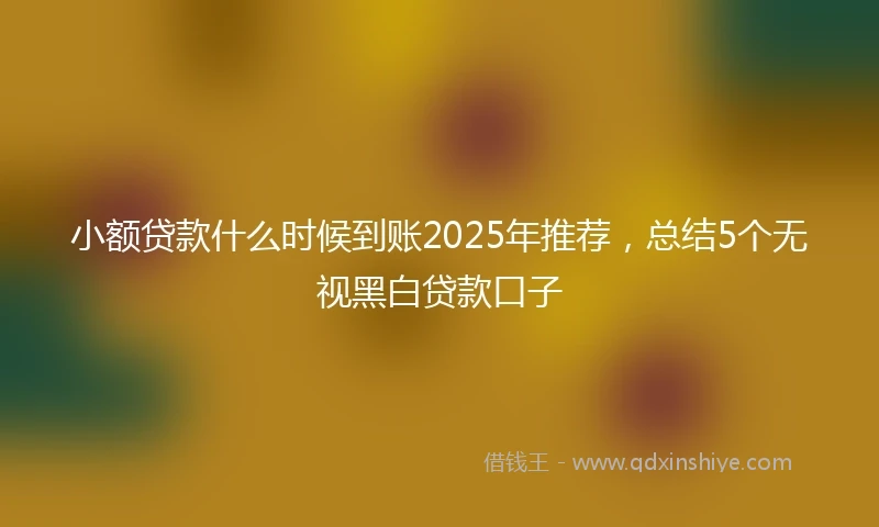 小额贷款什么时候到账2025年推荐，总结5个无视黑白贷款口子