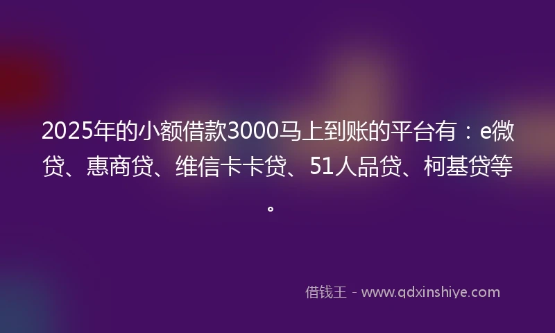 2025年的小额借款3000马上到账的平台有：e微贷、惠商贷、维信卡卡贷、51人品贷、柯基贷等。