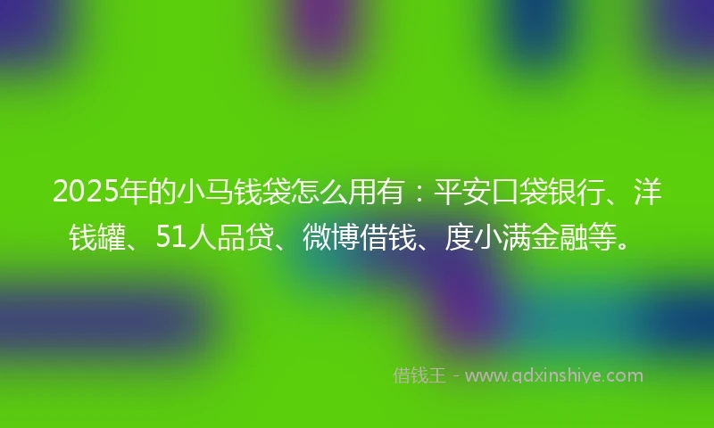 2025年的小马钱袋怎么用有：平安口袋银行、洋钱罐、51人品贷、微博借钱、度小满金融等。