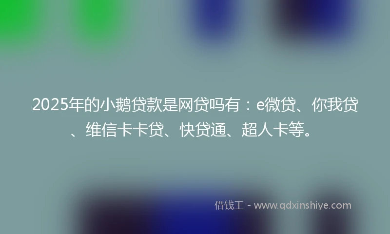 2025年的小鹅贷款是网贷吗有：e微贷、你我贷、维信卡卡贷、快贷通、超人卡等。