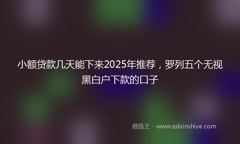 小额贷款几天能下来2025年推荐，罗列五个无视黑白户下款的口子