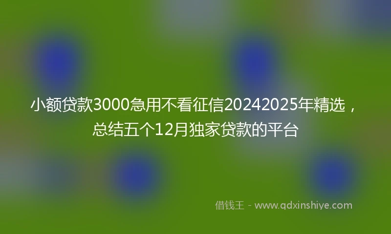 小额贷款3000急用不看征信20242025年精选，总结五个12月独家贷款的平台