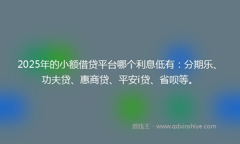 2025年的小额借贷平台哪个利息低有：分期乐、功夫贷、惠商贷、平安i贷、省呗等。