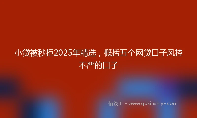 小贷被秒拒2025年精选，概括五个网贷口子风控不严的口子