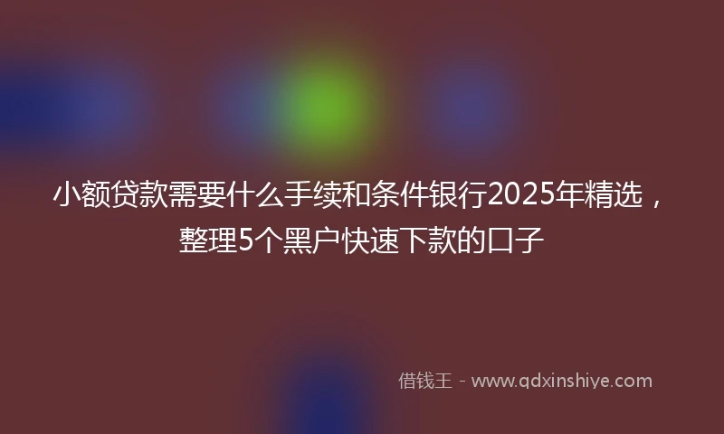 小额贷款需要什么手续和条件银行2025年精选，整理5个黑户快速下款的口子