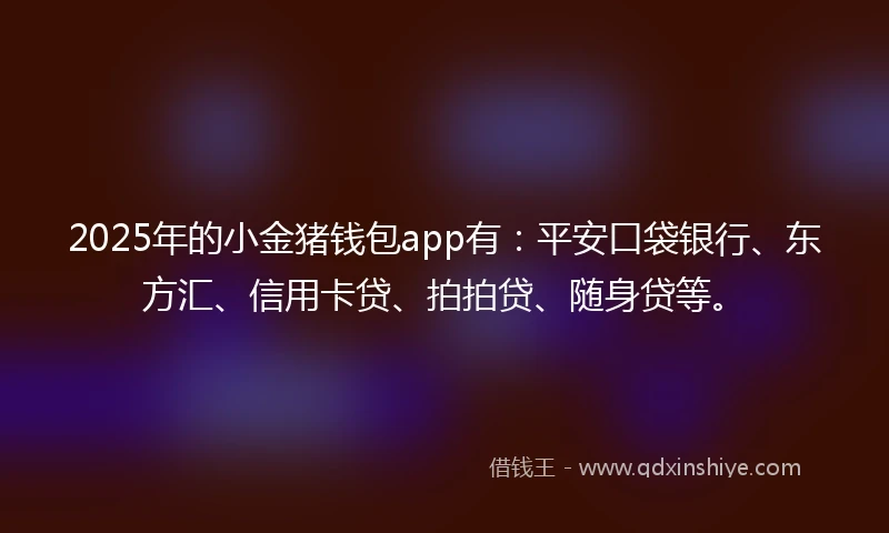 2025年的小金猪钱包app有：平安口袋银行、东方汇、信用卡贷、拍拍贷、随身贷等。