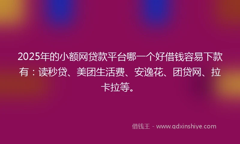 2025年的小额网贷款平台哪一个好借钱容易下款有：读秒贷、美团生活费、安逸花、团贷网、拉卡拉等。
