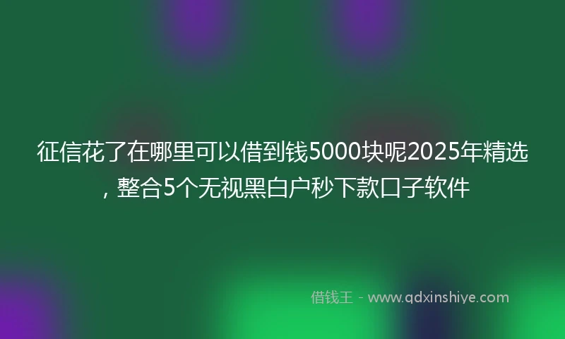 征信花了在哪里可以借到钱5000块呢2025年精选，整合5个无视黑白户秒下款口子软件