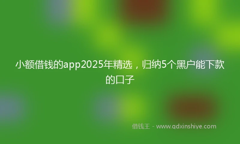 小额借钱的app2025年精选，归纳5个黑户能下款的口子