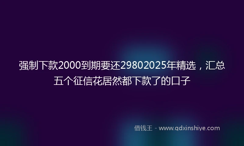 强制下款2000到期要还29802025年精选，汇总五个征信花居然都下款了的口子