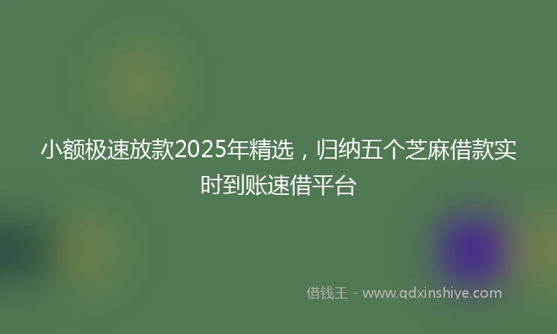 小额极速放款2025年精选，归纳五个芝麻借款实时到账速借平台