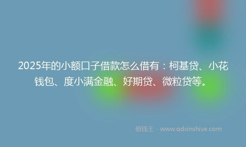 2025年的小额口子借款怎么借有:柯基贷、小花钱包、度小满金融、好期贷、微粒贷等。
