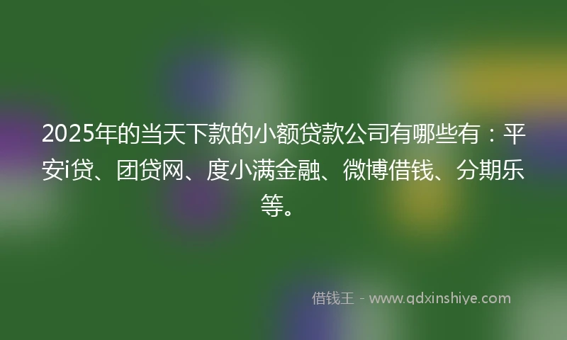 2025年的当天下款的小额贷款公司有哪些有：平安i贷、团贷网、度小满金融、微博借钱、分期乐等。
