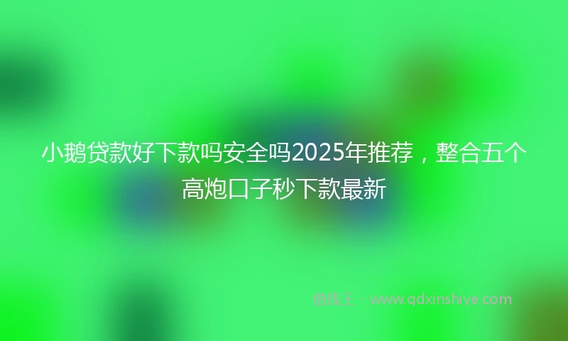 小鹅贷款好下款吗安全吗2025年推荐，整合五个高炮口子秒下款最新