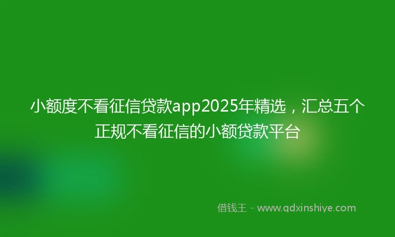 小额度不看征信贷款app2025年精选，汇总五个正规不看征信的小额贷款平台
