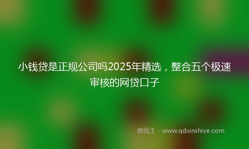 小钱贷是正规公司吗2025年精选，整合五个极速审核的网贷口子
