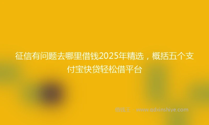 征信有问题去哪里借钱2025年精选，概括五个支付宝快贷轻松借平台