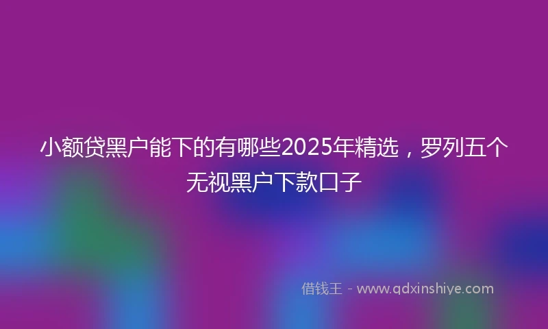 小额贷黑户能下的有哪些2025年精选，罗列五个无视黑户下款口子