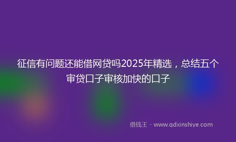 征信有问题还能借网贷吗2025年精选，总结五个审贷口子审核加快的口子