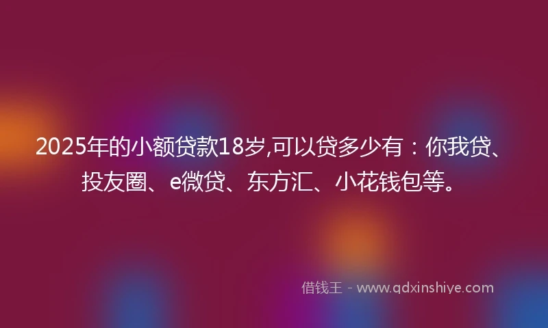 2025年的小额贷款18岁,可以贷多少有：你我贷、投友圈、e微贷、东方汇、小花钱包等。
