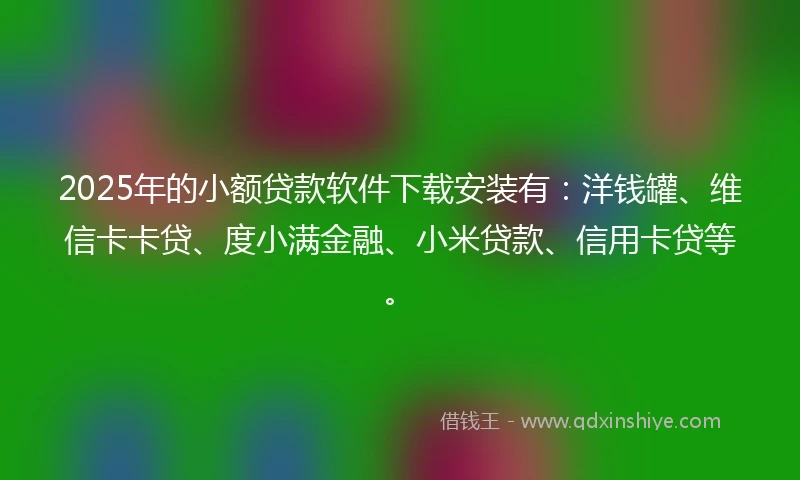 2025年的小额贷款软件下载安装有：洋钱罐、维信卡卡贷、度小满金融、小米贷款、信用卡贷等。