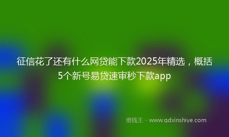 征信花了还有什么网贷能下款2025年精选，概括5个新号易贷速审秒下款app