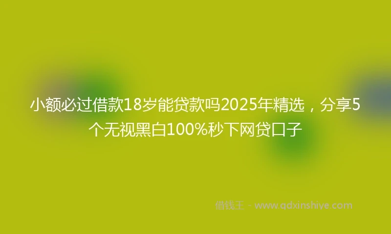 小额必过借款18岁能贷款吗2025年精选，分享5个无视黑白100%秒下网贷口子