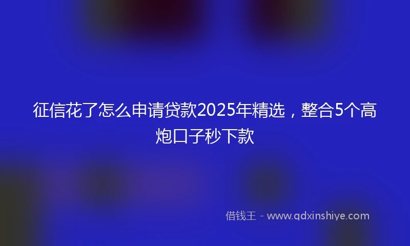 征信花了怎么申请贷款2025年精选，整合5个高炮口子秒下款