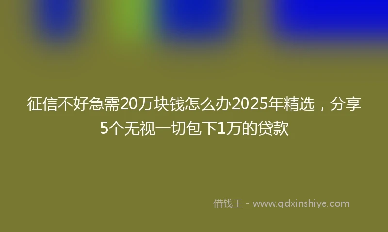 征信不好急需20万块钱怎么办2025年精选，分享5个无视一切包下1万的贷款