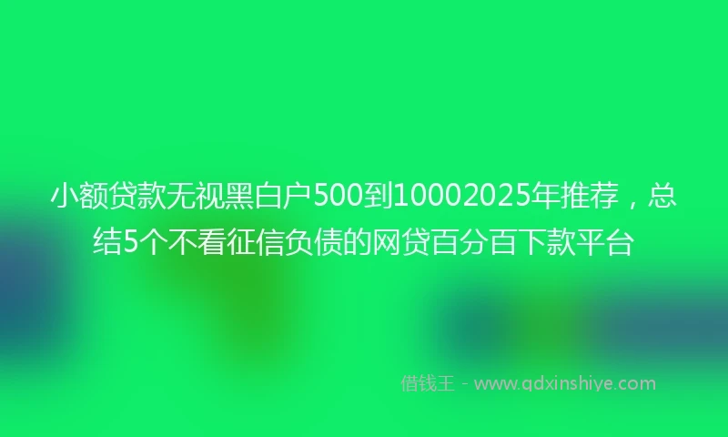 小额贷款无视黑白户500到10002025年推荐，总结5个不看征信负债的网贷百分百下款平台